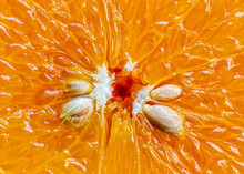 Pulp Of Orange Fruit In Detail. Macro Photograph Of The Pulp Of An Orange With A Detail Of Gummy Candy And Seeds.