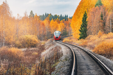 Wall Mural - Passenger train moves at autumn morning.