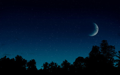 Wall Mural - starry sky with the moon and silhouette of the jungle