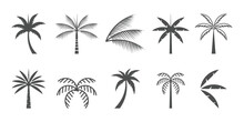 Set Of Palm Logo Icon Vector With Creative Element