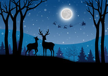 Merry Christmas And Happy New Year Greeting Card With Deer Family On Winter Night Landscape