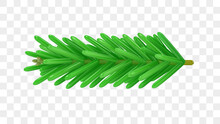 Fir Branch Closeup Isolated On A Transparent Background. Christmas Tree Part. Stylized Glossy Figurine Of A Spruce Branch. Design Element. Christmas Decoration. Realistic 3D Render Vector