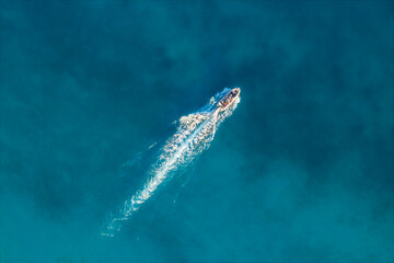 Wall Mural - Top view from drone of fast sailing yacht, speed boat cruising in high speed in clear blue water in summer. Aerial view. Summer vacation at sea, travel background