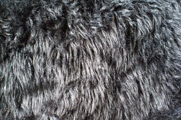 Beautiful abstract close-up black fur background texture