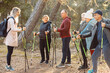 © Татьяна Волкова - Professional woman coach, trainer with group people teach Scandinavian, Nordic walking exercise with sticks in forest