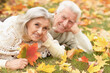 © aletia2011 - portrait of beautiful senior couple lying on grass