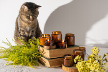 A Set Of Different Aroma Candles In Brown Glass Jars. Scented Handmade Candle. Soy Candles Are Burning In A Jar. Aromatherapy And Relax. Fire In Brown Jar. Yellow Flowers Cat At Home.