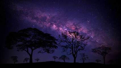 milky way with stars,silhouette tree in africa.tree silhouetted against a setting sun.dark tree on o