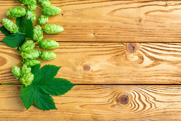 Green hop cones and leaves on planks with copy space.