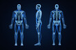 Accurate xray image of human skeletal system with adult male skeleton and body contours on blue background 3D rendering illustration. Anatomy, medical, healthcare, science, osteology, concept.