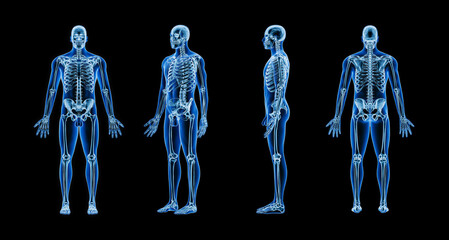 Wall Mural - accurate xray image of human skeletal system with adult male body contours on black background 3d re