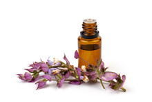A Bottle Of Essential Oil With Fresh Blooming Clary Sage Twigs On White Background.