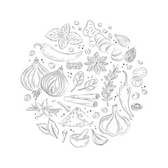 Spices and herbs banner. Vector illustration of hand drawn kitchen herbs with vanilla, anise, ginger, cinnamon, curry, basil, garlic, pepper, rosemary. Popular indian spices in doodle style for menu