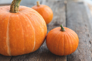 Autumnal Background. Natural autumn fall view pumpkins on wooden background. Inspirational october or september wallpaper. Change of seasons ripe organic food concept. Halloween party Thanksgiving day