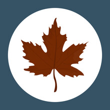 Autumn Maple Leaf. Vector Maple Leaf Icon. Vector Icon Of A Brown Maple Leaf