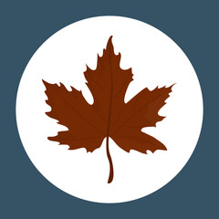 autumn maple leaf. vector maple leaf icon. vector icon of a brown maple leaf