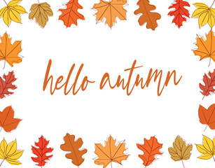 Wall Mural - Hello, Autumn. Set of autumn leaves and inscription hello autumn. Vector illustration isolated on white background