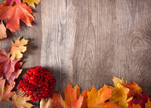 Autumn Leaf On Wood Background (top View)