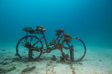 Bicycle In The Sea - The Artificial Reef
