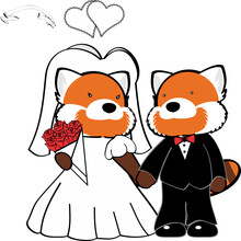 Married Red Panda Couple Cartoon Set Illustration In Vector Format