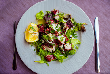 Traditional salad with octopus and herbs.