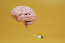 Modern Technologies. Brain Charging. Rebooting Thought Processes. Acquisition Of New Knowledge, Training. Pink Brain And White Usb Cord On Yellow Background. 3d Render. 3d Illustration