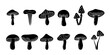 Mushroom sketch set. Poisonous and edible mushrooms hand drawn banner. Different black mushroom symbols. Chanterelle, cep, amanita, truffle, porcini.