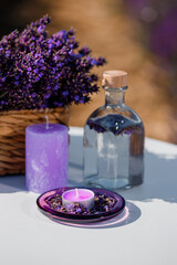  Basket with beautiful lavender in the field in Provance with Lavander water and candles. Harvesting season