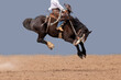 Cowboy riding a bucking bronc at a country rodeo Australia. Background replaced.