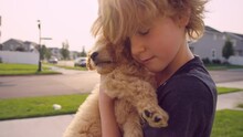 Young Boy Nuzzles, Holds Labradoodle Puppy Close For Emotional Comfort￼