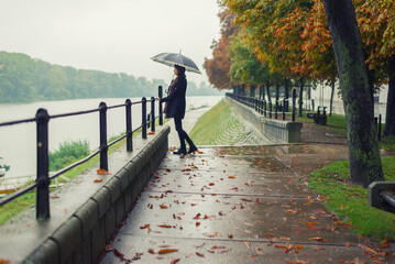 Wall Mural - Beautiful woman with umbrella walking in the rain on a misty autumn day