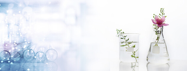 Wall Mural - green and flower plant in flask and beaker on natural biotechnology science banner background