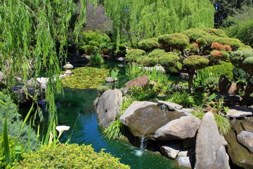 Canvas Print - Himeji Garden in Adelaide, Australia