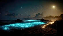 Beautiful Landscape Of A Bioluminescence Beach Glowing Under A Night Sky, Low Light