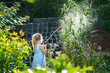 Happy little girl playing with a garden hose on hot and sunny summer evening. Preschool child helping and having fun with watering trees and plants in domestic garden