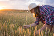 © olga_sova - A beautiful middle-aged farmer woman in a straw hat and a plaid shirt stands in a field of golden ripening wheat during the daytime in the sunlight