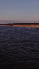 Wall Mural - Sandy beach washed by large foamy waves, drone video from the sea