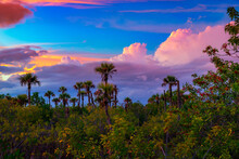 Colorful Sunset Over Everglades National Park In Florida