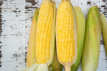 Wall Mural - Fresh corn, sweet corn