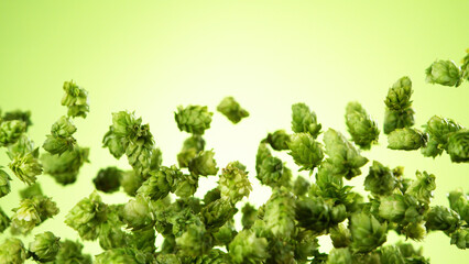 Wall Mural - Freeze motion of flying hops cones on green background.