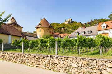 Wall Mural - View of Durnstein town in Wachau valley. Lower Austria