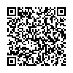 Vector QR code