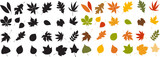 Fototapeta Pokój dzieciecy - silhouette leaves set autumn on white background isolated, vector