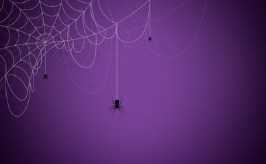 Halloween background concept. Spider and cobweb background