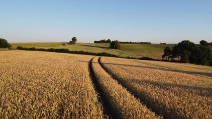 Sticker - Drone flight over barley field