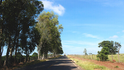 street landscape with blue sky