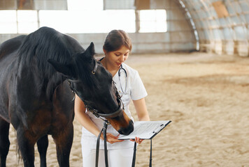 Holding notepad with results of check up. Female doctor in white coat is with horse on a stable