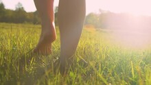 CLOSE UP, LOW ANGLE. Following A Woman's Bare Feet Walking On The Meadow Grass. Female Person Stepping Barefoot Through Grassland In Golden Light. View Of Sunlit Feet Pacing On The Lawn At Sunrise.