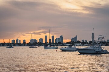 Yachts in the sea at sunset with high-rise buildings in the background