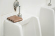 Forgotten wallets in public restrooms, forgetful persons, Alzheimer's disease, and aging bodies
